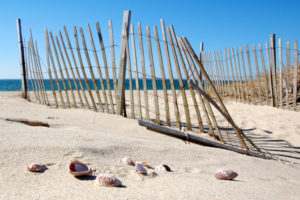 Sandy Beaches