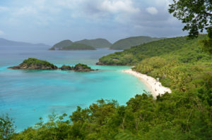 Sandy Beaches St. John Trunk Bay