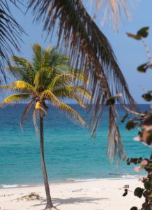 Why Cuba?