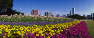 Favorite Picnic Spots