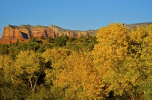 Unconventional states to see fall colors