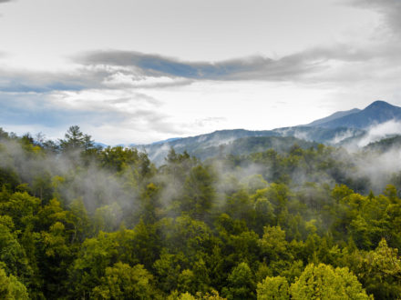 smoky mountains