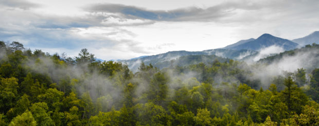 smoky mountains