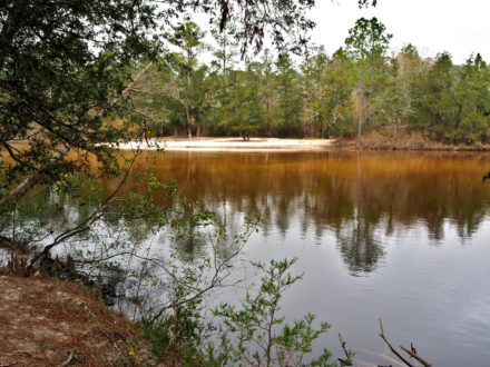 Florida State Parks