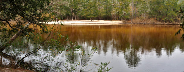 Florida State Parks