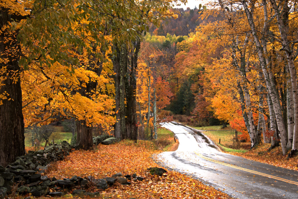 Festive Fall Foliage Road Trips Purple Light Vacations