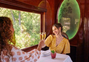 Wine Train