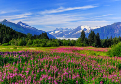 lesbian Alaska