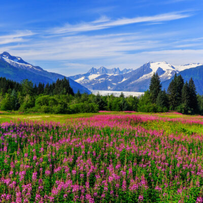 lesbian Alaska