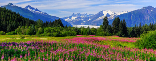 lesbian Alaska