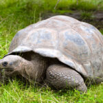Gay Ecuador and Galapagos