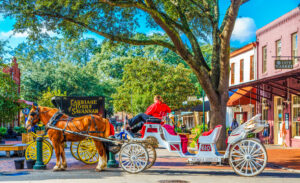 Savannah