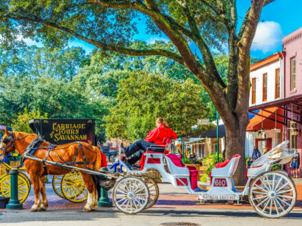 Savannah