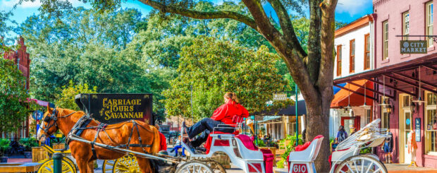 Savannah